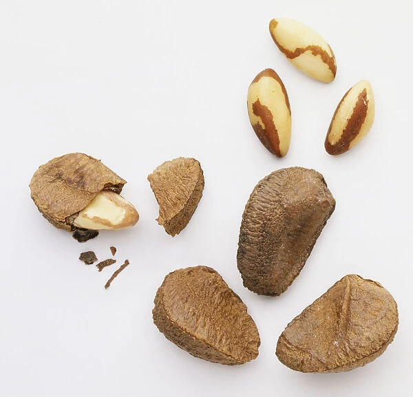 Above view of a handful of Brazil nuts, three shelled, one cracked open, three unshelled