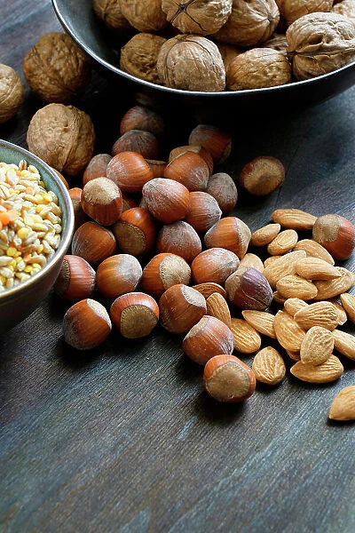 Walnuts, almonds, hazelnuts and cereal, Products rich in Vitamin E for a healthy diet, Italy, Europe