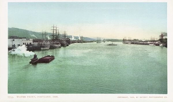 Water Front, Portland, Ore. Postcard. 1904, Water Front, Portland, Ore. Postcard