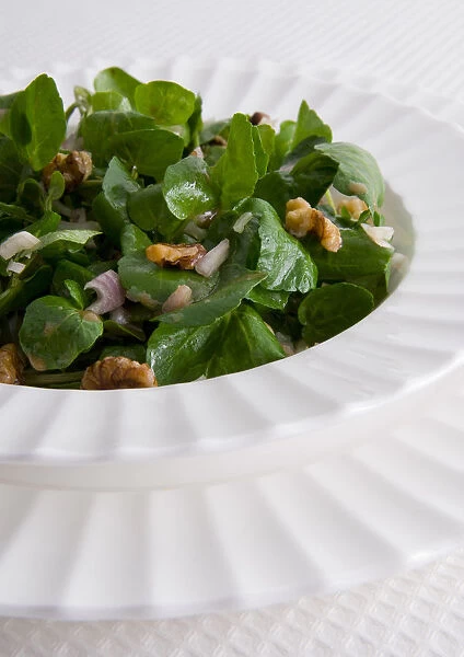 Watercress and walnut salad, close-up