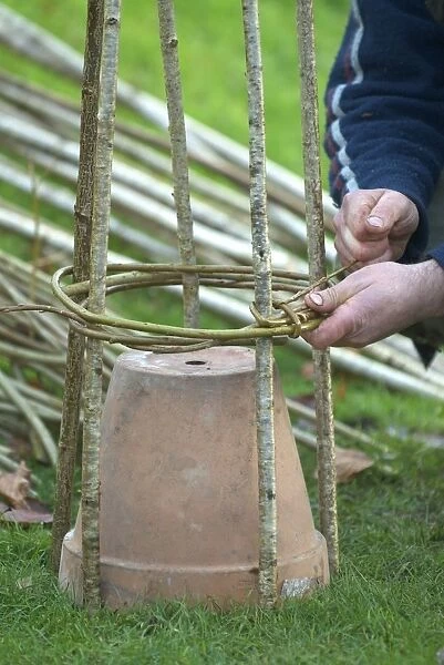 Weaving willow around a hazel rod frame