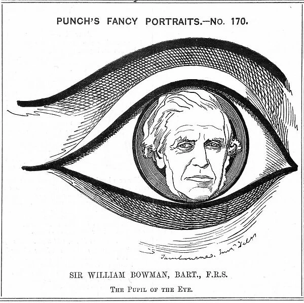 William Bowman (1816- 1892) English anatomist, surgeon and ophthalmologist was born at Nantwich
