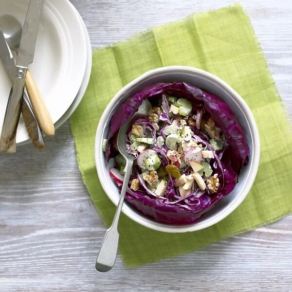 Winter cabbage salad, salad with red cabbage, celery, sultanas, apple, walnuts, radishes and dressing in bowl with spoon