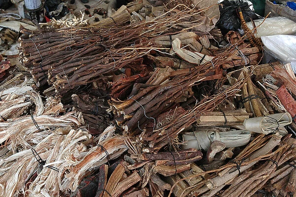 Wood used in traditional medicine