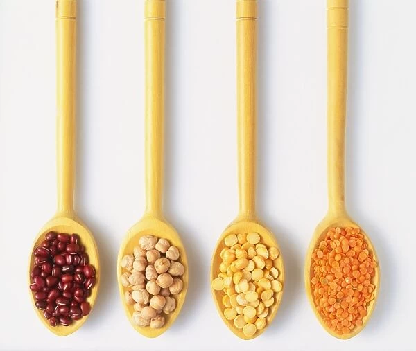 Four wooden spoons showing different types of Lens culinaris, Lentils, view from above