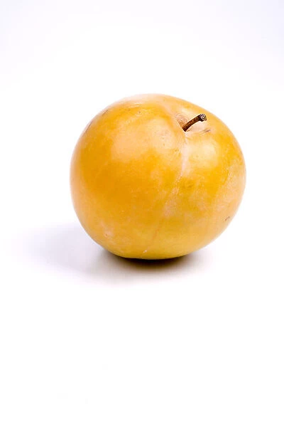 Yellow plum against white background
