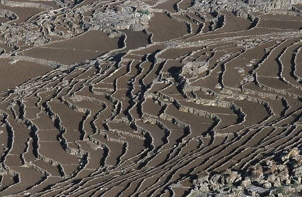 Yemen, Al Mahwit Province, Al Mahwit, crop terraces