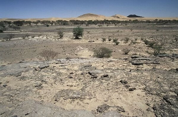 Yemen, Rub al Khali Desert, The Empty Quarter desert
