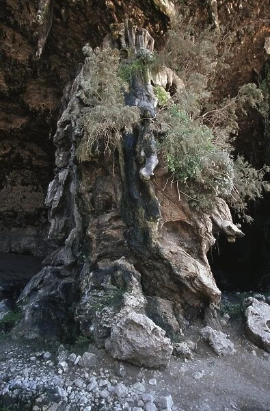 Yemen, Socotra Island, Deiqyub cave southern slope