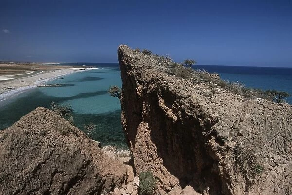 Yemen, Socotra Island, Surroundings of Gathib village, Rocky coast and endemic plants