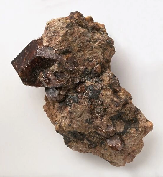 Zircon crystals in syenite groundmass, close-up
