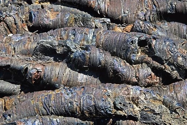 Close Up Of Volcanic Tubes And Blue Lava