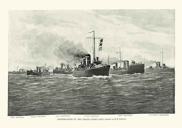 Fleet of United States Navy torpedo boats, 19th Century warships