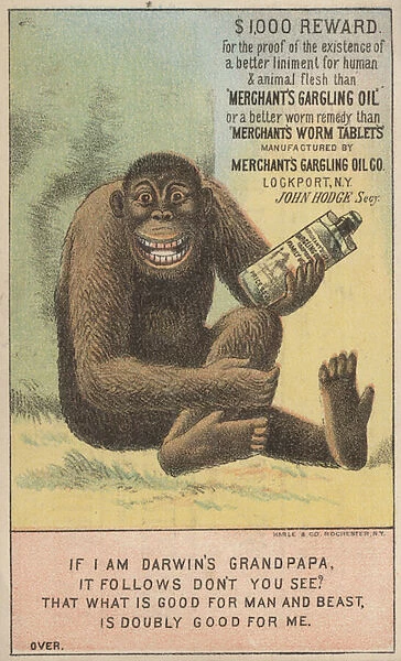 Advertisement for Merchants Gargling Oil and Worm Tablets (colour litho)