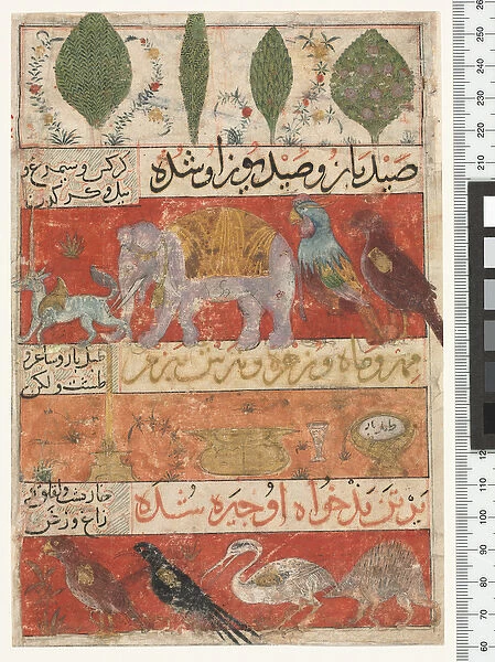 Animals, Birds and Plants, Ilkhanid Period, 1341 (w  /  c, ink & gold on paper)