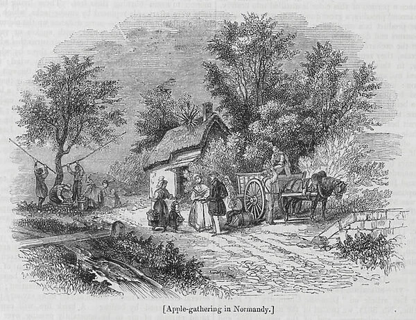 Apple-gathering in Normandy (engraving)