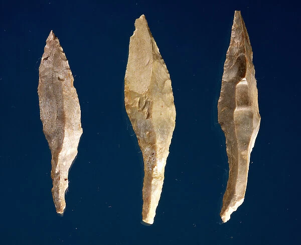Three arrow heads (flint)