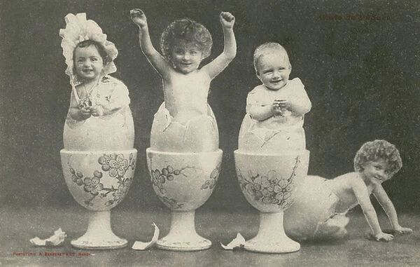 Babies hatching from eggs in eggcups (b  /  w photo)