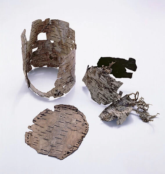 Birch-bark container found with the Oetzi Iceman (birch)