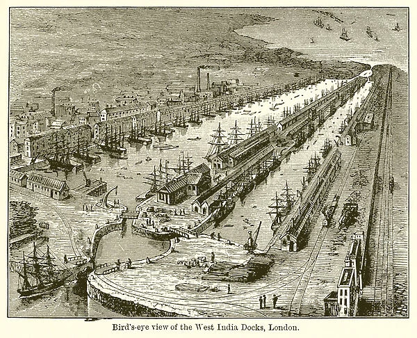Bird s-Eye View of the West India Docks, London (engraving)