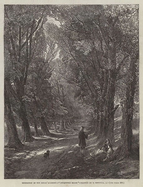 Chequered Shade (engraving)