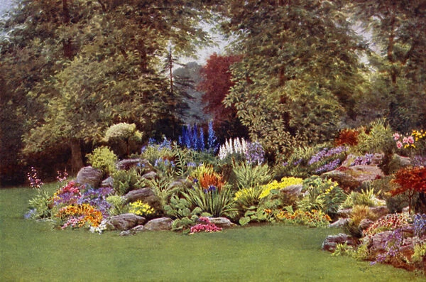 A Corner of the Rock Garden (colour litho)