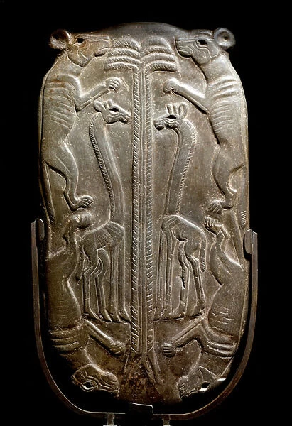 Cosmetic palette decorated with canidae and giraffe (Back view) (Schist bas relief, ca