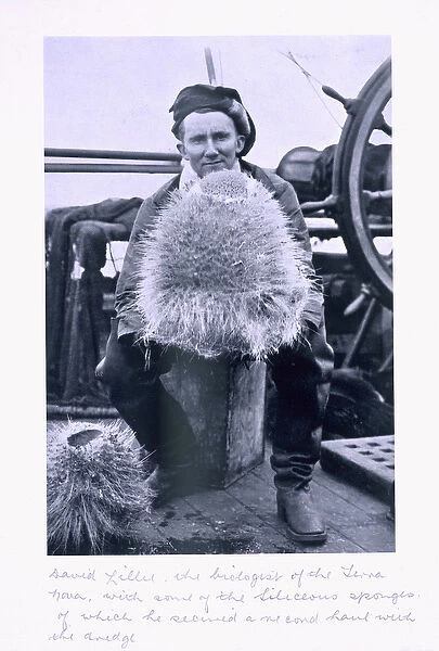 David Lille, biologist of the Terra Nova with some of the Seliceous Sponges