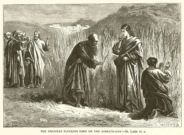 The Disciples plucking corn on the sabbath-day, St Luke, vi, 1 (engraving)