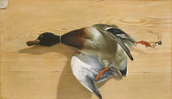 A duck on a pine board, 1753 (oil on canvas)