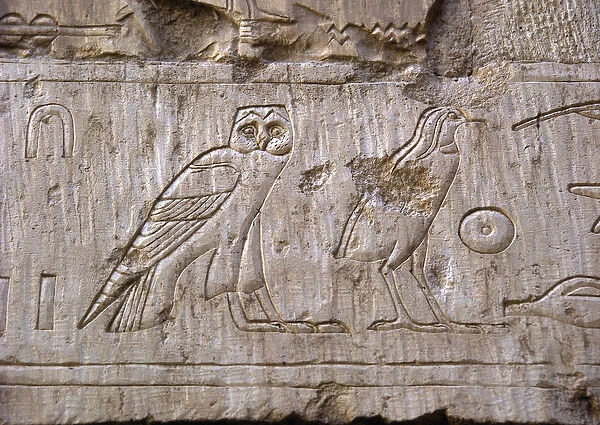 Egyptian antiquite: relief representing an owl and an eagle