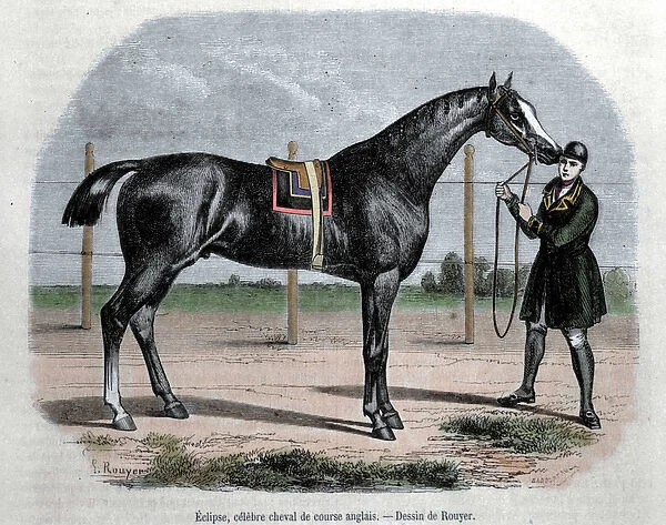 The English racing horse Eclipse. Illustration by Rouyer