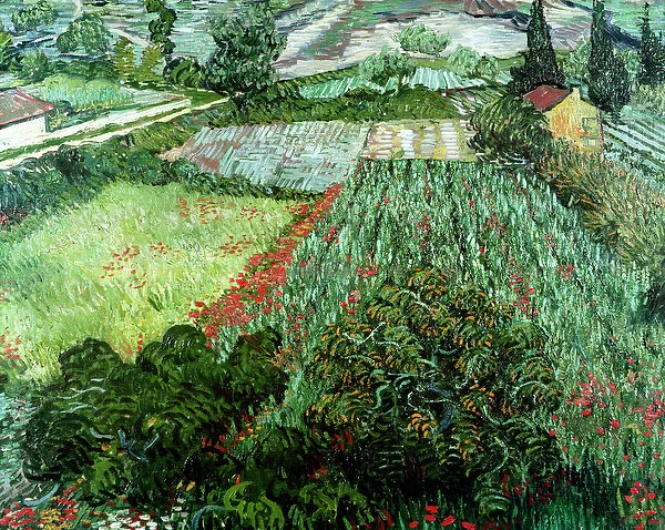 Field with Poppies, 1889 (oil on canvas)