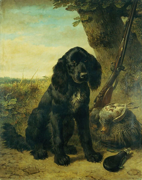 A flat coated Retriever by a tree (oil on canvas)