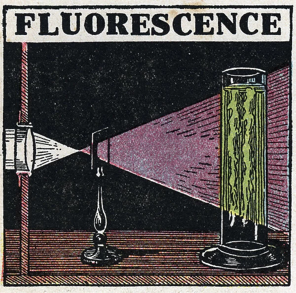 Fluorescence: evidence of the fluorescence of the bodies
