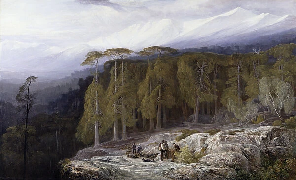 The Forest of Valdoniello, Corsica, 1869 (oil on canvas)