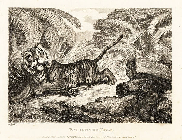 A fox watches a wounded tiger. 1811 (etching)