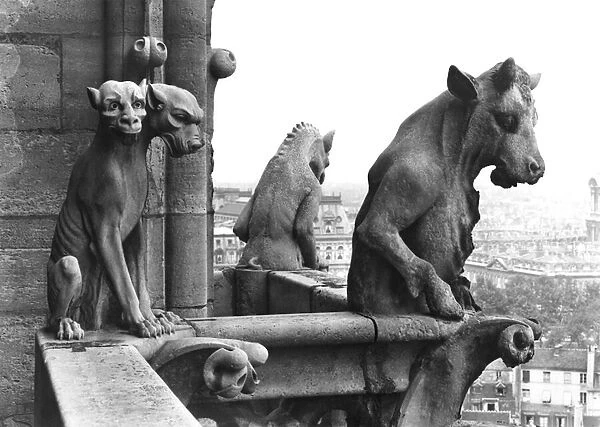 Two gargoyles from the balustrade of the Grande Galerie of the west facade, replica of a 12th century original (stone) (b  /  w photo)