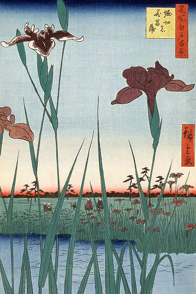 Horikiri Iris Garden by Utagawa Hiroshige, 1857 (woodblock print)