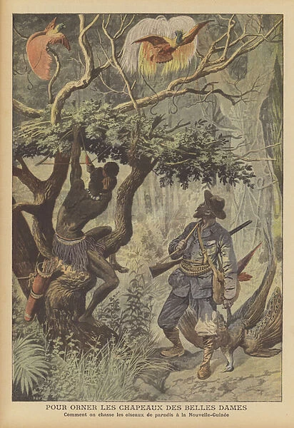 Hunting birds of paradise in New Guinea (colour litho)