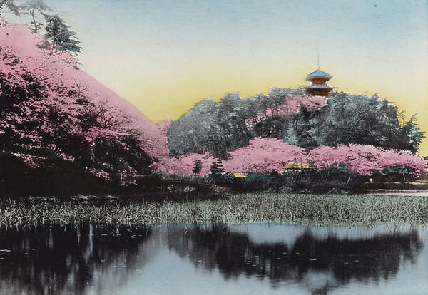 Japan, c. 1912: Sankeiyen, Mr Haras Private Garden, Honmoku, Yokohama (photo)