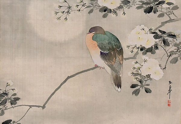 Japanese Silk Painting of a Wood Pigeon, 1800-1899 (watercolor)