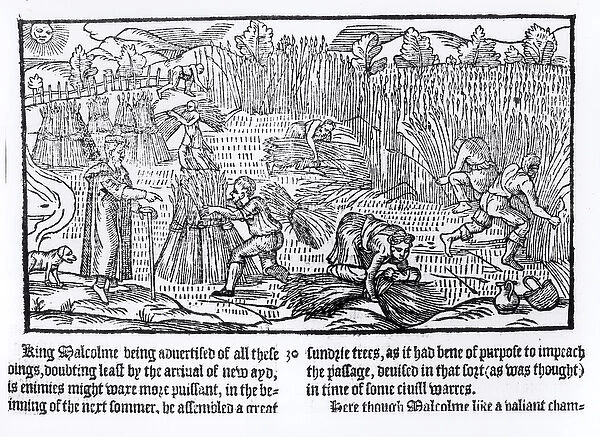 King Malcolm of Scotland Observes Agricultural Labour, 1586 (woodcut) (b  /  w photo)