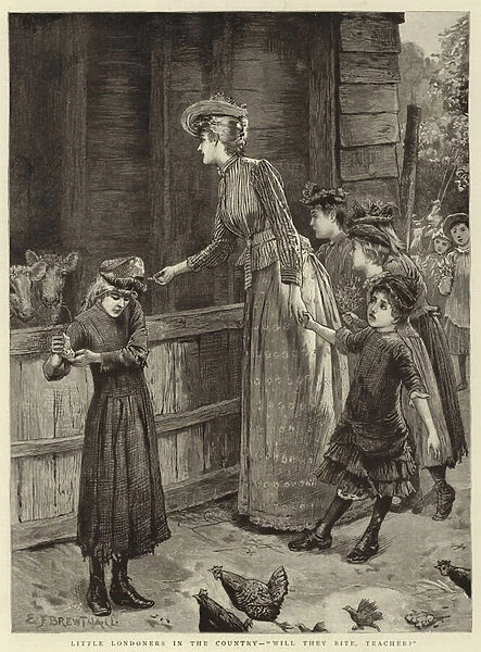 Little Londoners in the Country, 'will they bite, teacher?'(engraving)