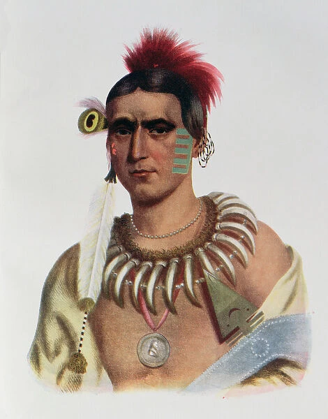 Ma-Has-Kah or White Cloud, an Iowa Chief, illustration from The Indian