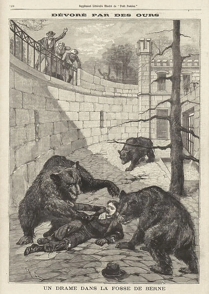 Man devoured by bears after falling into their pit, the Barengraben, in Bern, Switzerland (engraving)