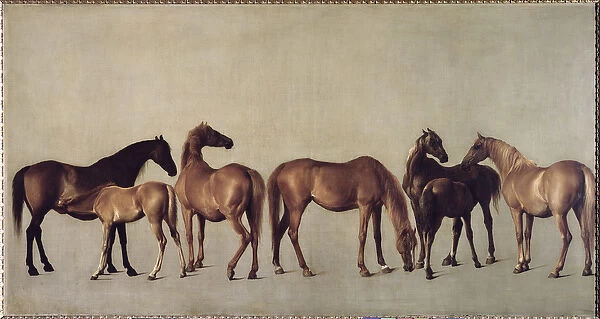 Mares and Foals without a Background, c. 1762
