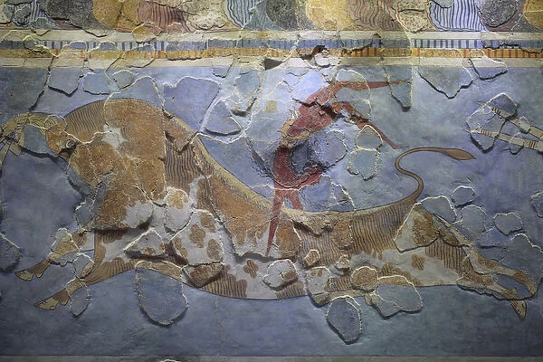 Minoan art. The 'Bull-Leaping'Freso. Bull leaping scene depicting how this