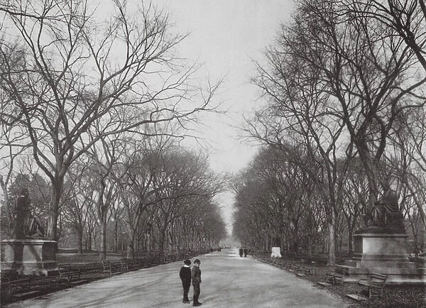 New York: The Mall in Central Park, Winter View (b  /  w photo)