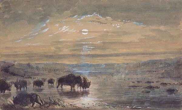 Night Scene, Buffaloes on the Prairie, c. 1837 (w  /  c on paper)